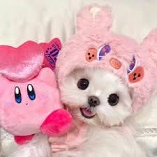 Chico Jericho avatar