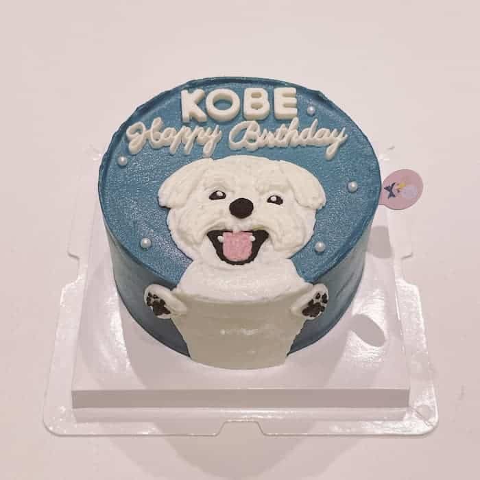 Nella Kharisma avatar